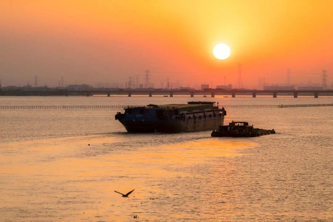 此时宜观水：苏州的水里有镜，有江，有海，有天