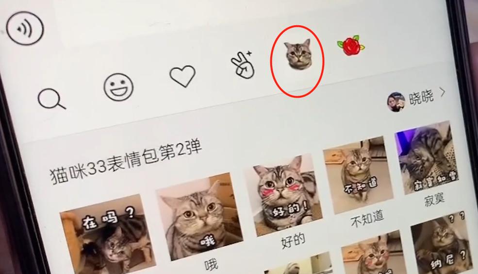 微信斗图专业必备表情包,斗图必备表情包微信