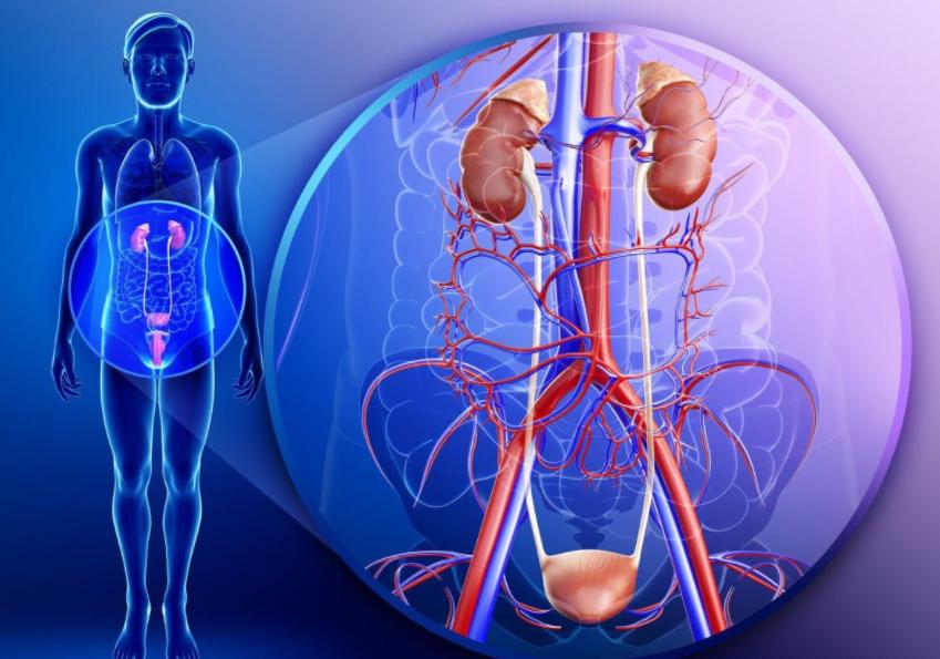 女护士处理男患者隐私部位，会感觉难为情吗？医护人员说出实情