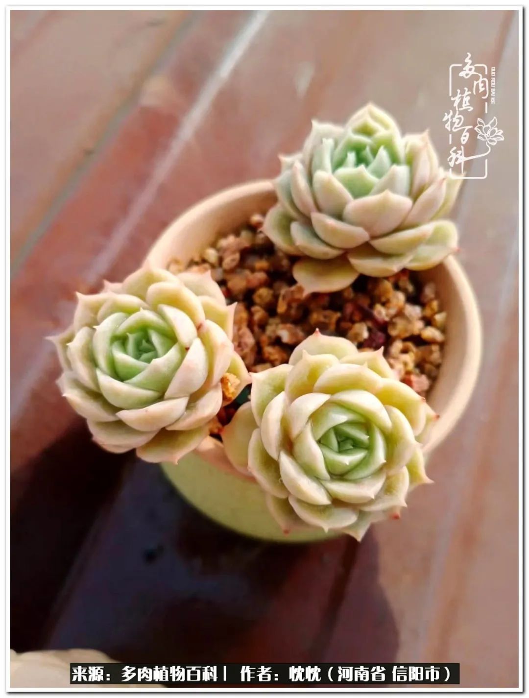 携一人白首择一城终老心之向往,携一人之手择一城终老图片