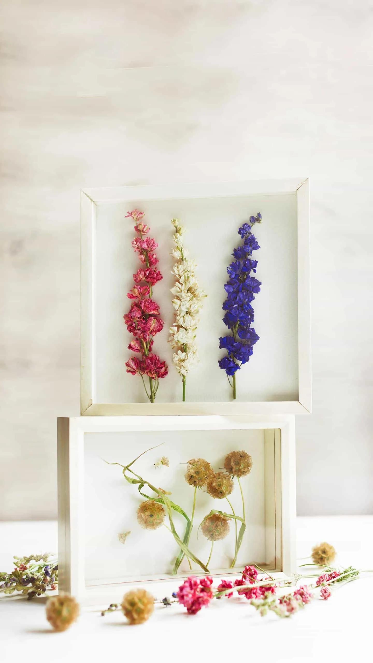 送礼的规矩和讲究,送礼的三建议三禁忌你都知道吗