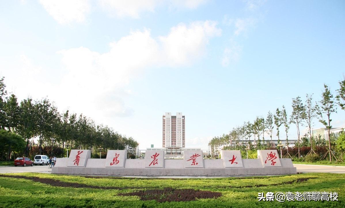 青岛理工大学与青科大,青岛理工和青岛科技