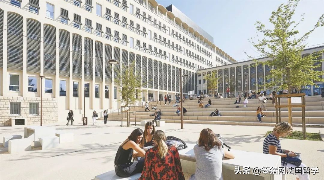 笨猪法语中文,笨猪法语