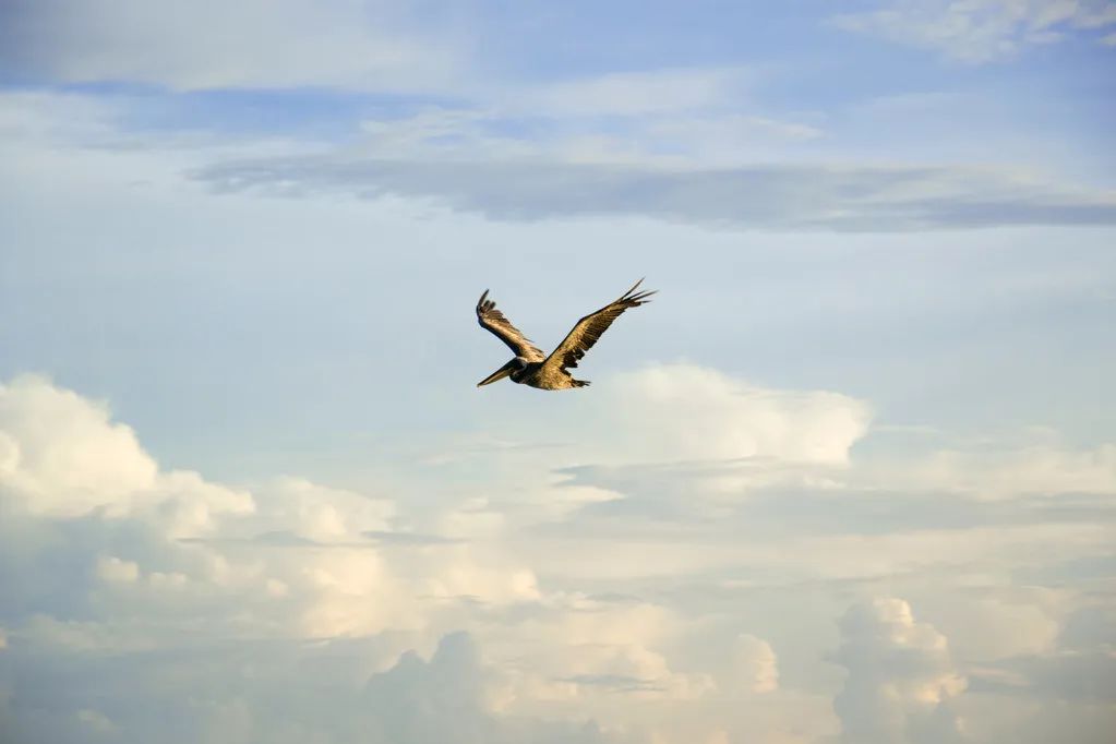 省委党校在职研究生考遴选有用吗,省委党校在职研究生能考遴选吗