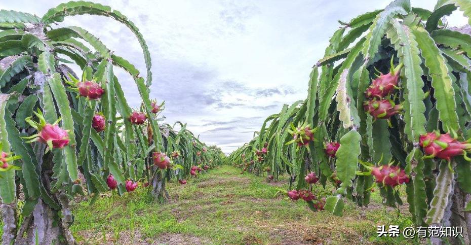 19岁女大学生深夜做“生意”,一年替父还债200万,成千万富婆
