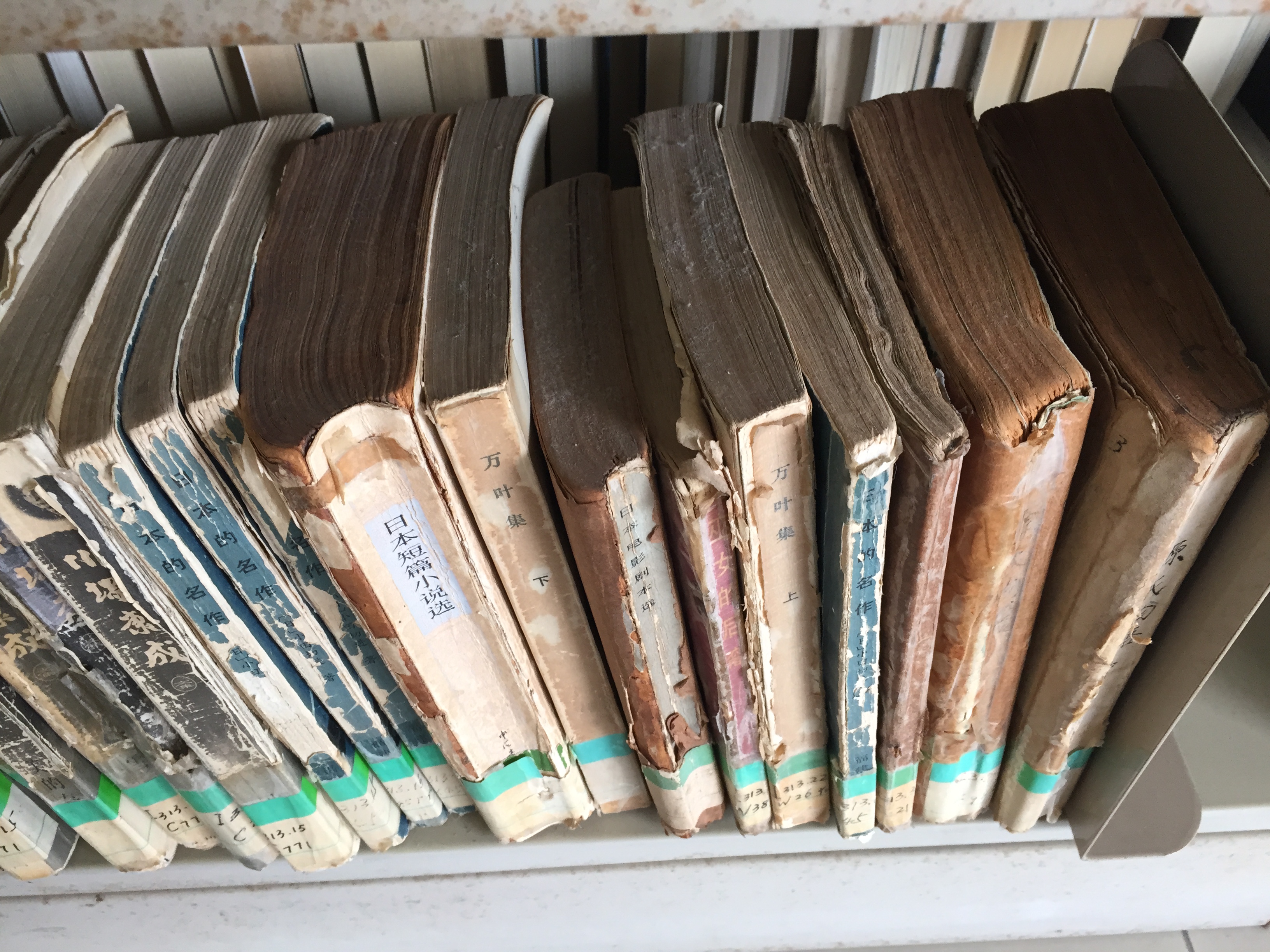 臭氧消毒会影响图书档案的使用寿命吗？