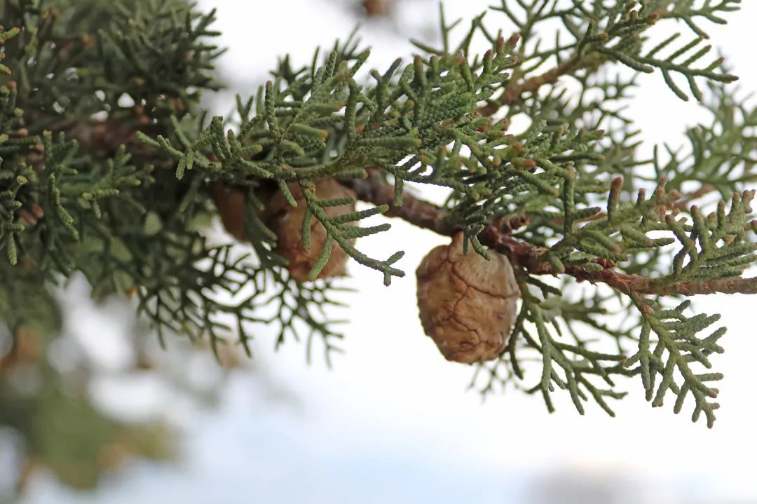 毕业季留下青春的足迹,毕业季开启一段最美青春回忆