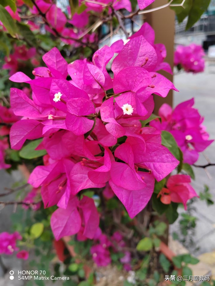 荣耀70系列参数配置详细,荣耀70使用起来怎么样