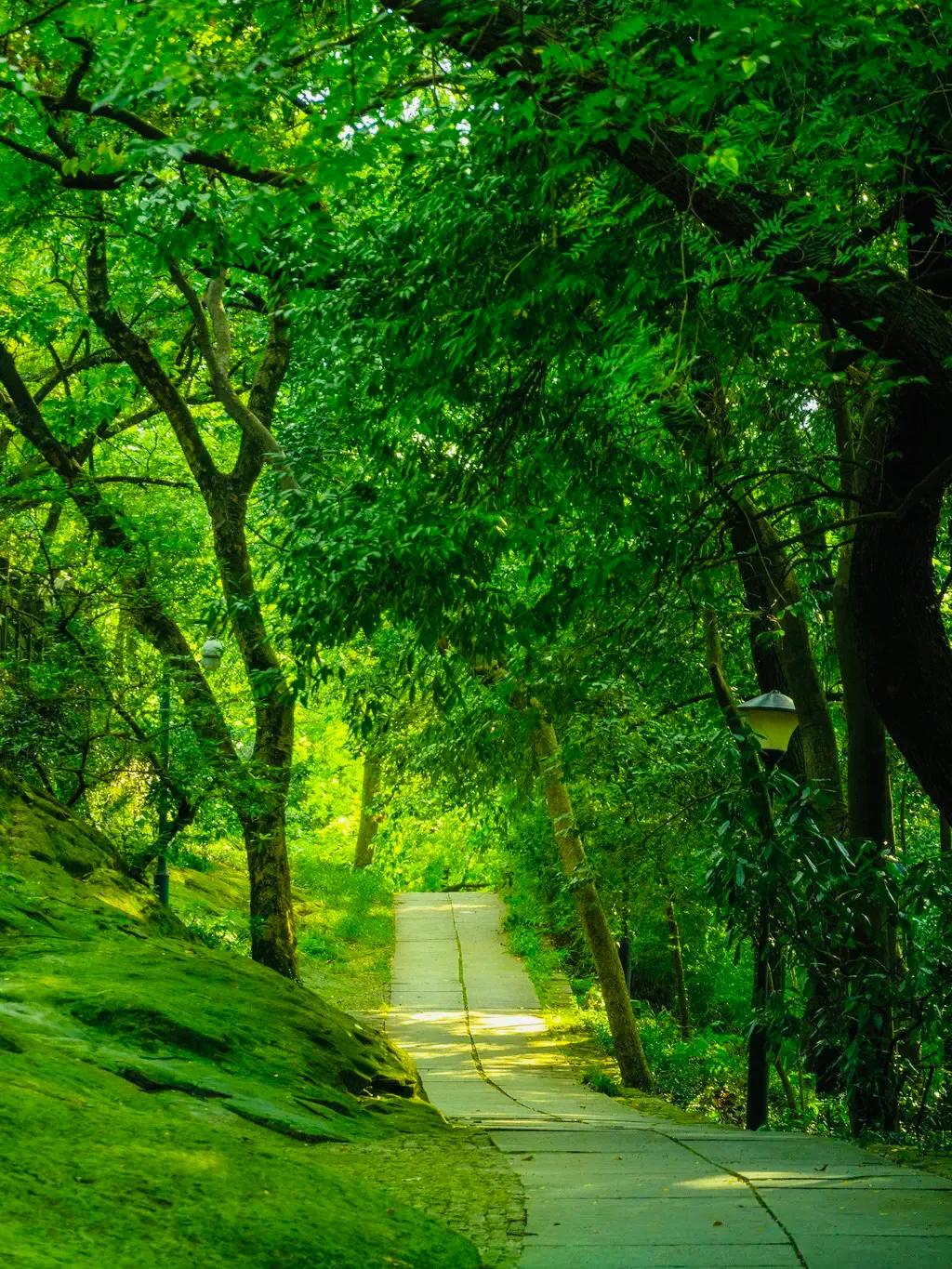杭州西湖照片,杭州西湖旅游攻略