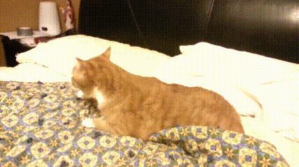 打喷嚏是怎么回事,打喷嚏怎么回事是感冒吗