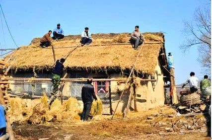 梅花香自苦寒来的上一句是什么,梅花香自苦寒来视频