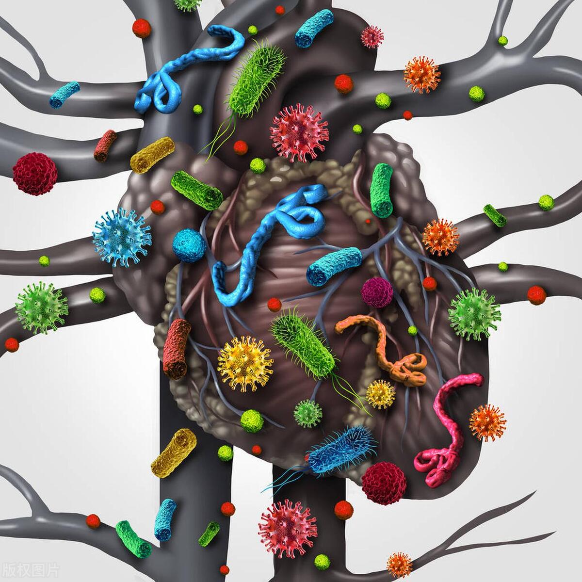 1个20元的检查，可以提前筛查心肌炎，是真是假？医生说出实情