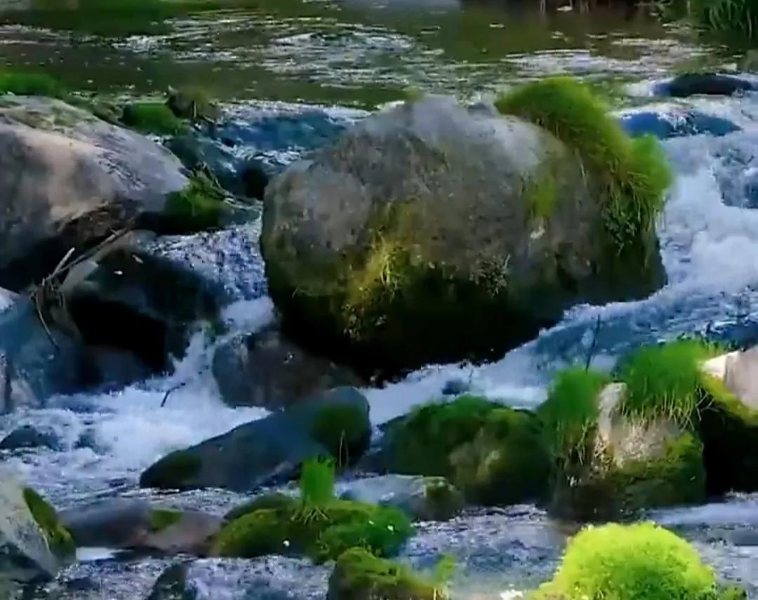 二代身份证后4位什么意思,身份证的后面4位是什么意思