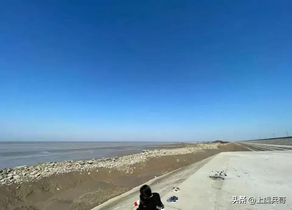 上虞毛大蟹,上虞海滩蟹