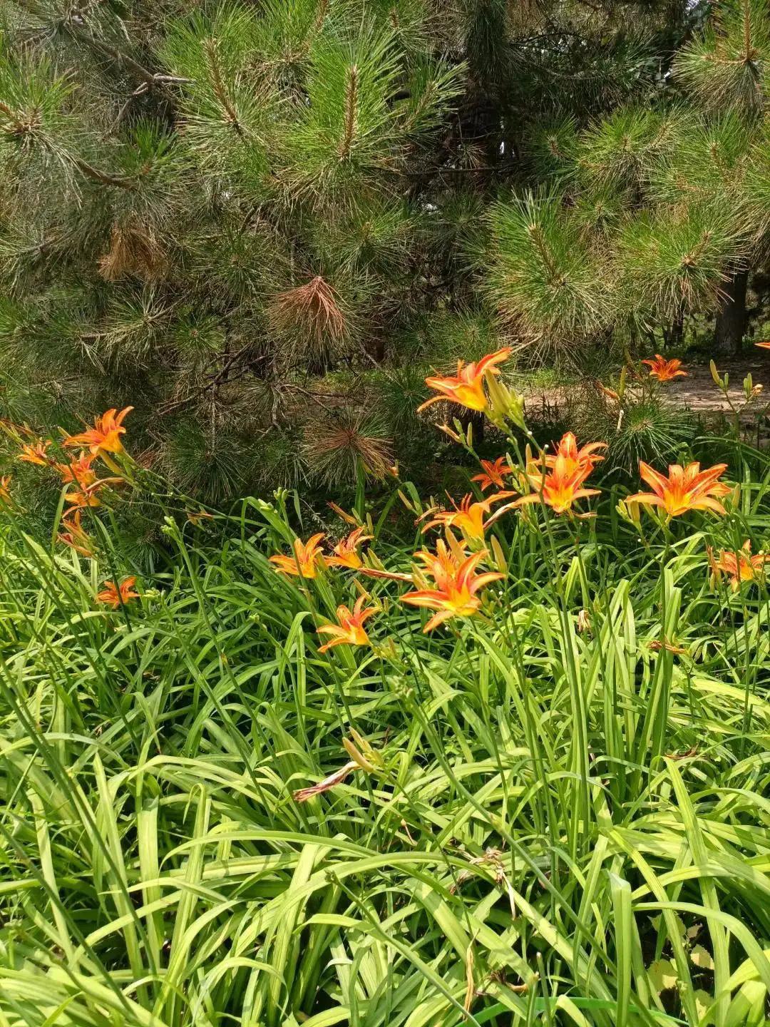 易经卦诗其五十七～六十四