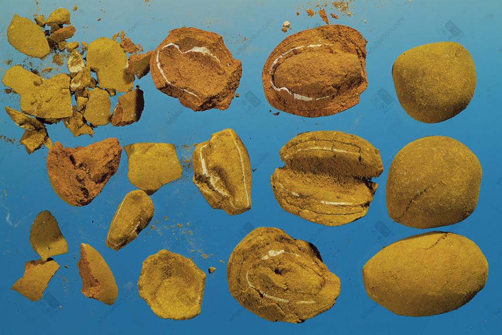 一粒老中药值钱吗,市场价400元一粒的中药