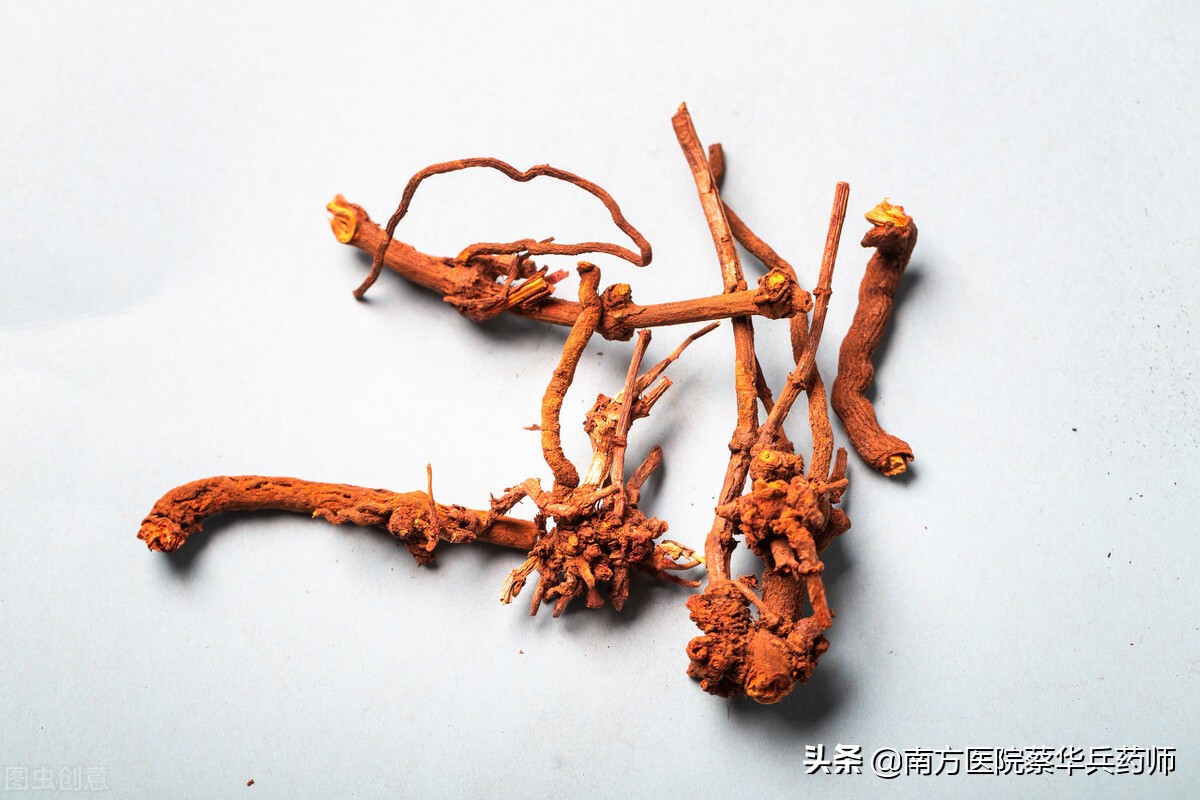 人称血见愁，它能抗肿瘤；活血止血是一流，风湿关节痛无忧