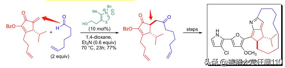 有机合成人名反应第11天:Stetterreaction