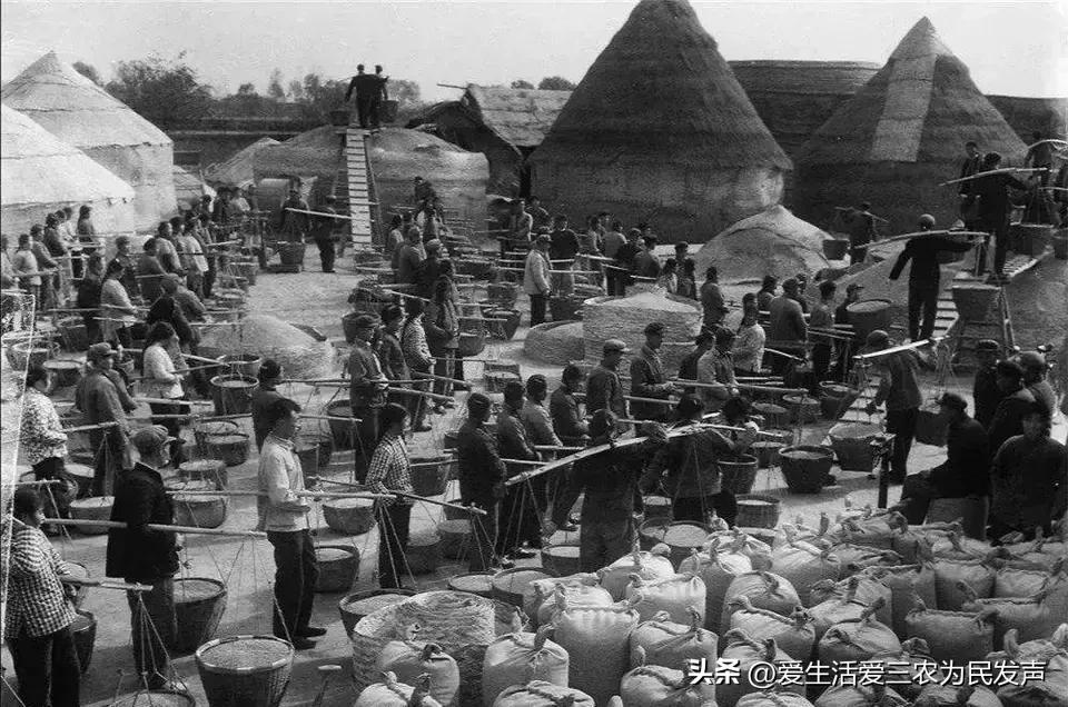 交公粮农民辛酸的诗词,交公粮时候农民苦吗