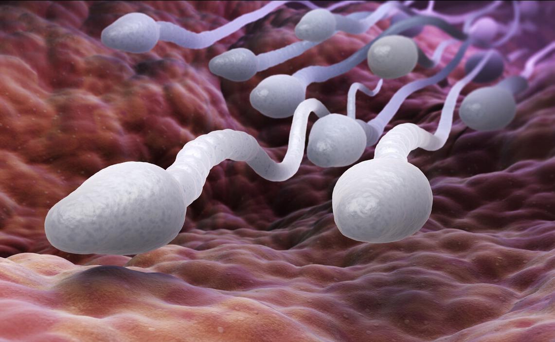 精液不液化的三个“凶手”