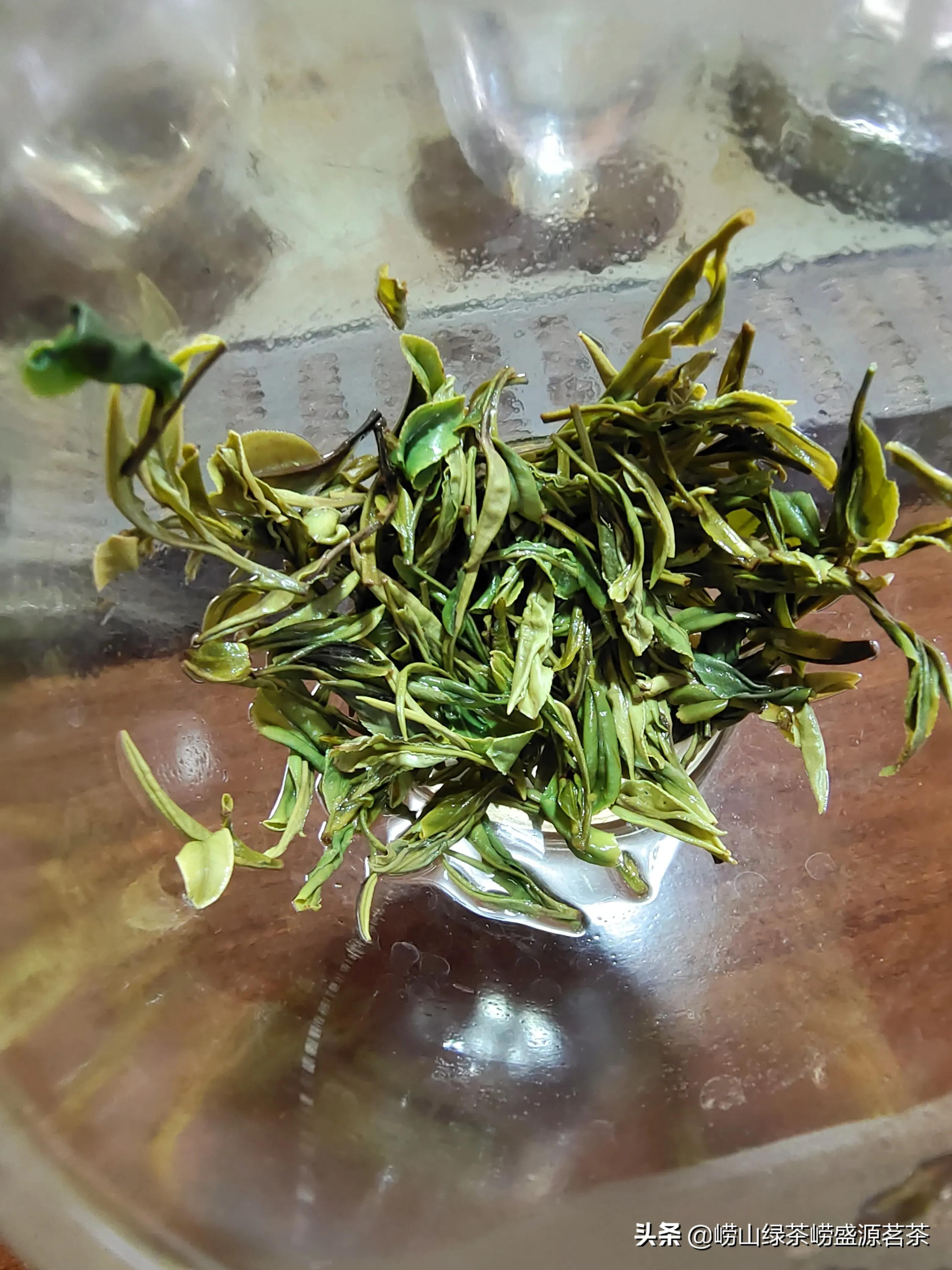 青岛崂山真正的崂山茶绿茶,崂山茶和日照绿茶哪家好