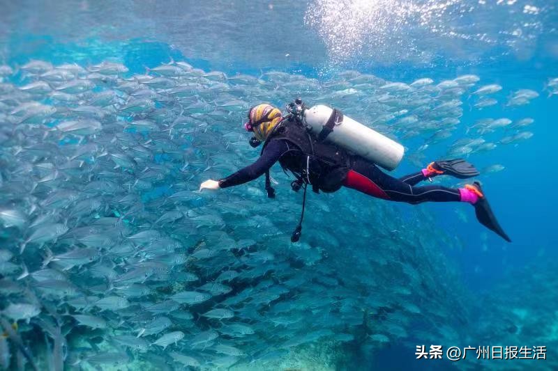 南方海岛游5大目的地推荐,打飞的去重庆徒步三峡之巅
