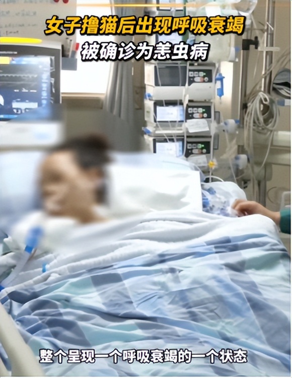 恙虫到底有多可怕？致死率极高