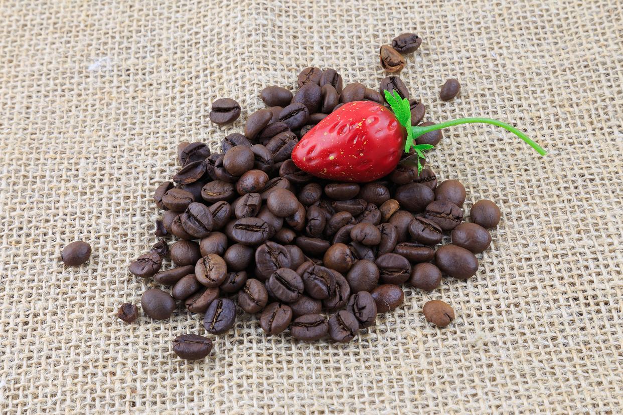 猫屎咖啡真是猫屎吗,猫屎咖啡真假辨别