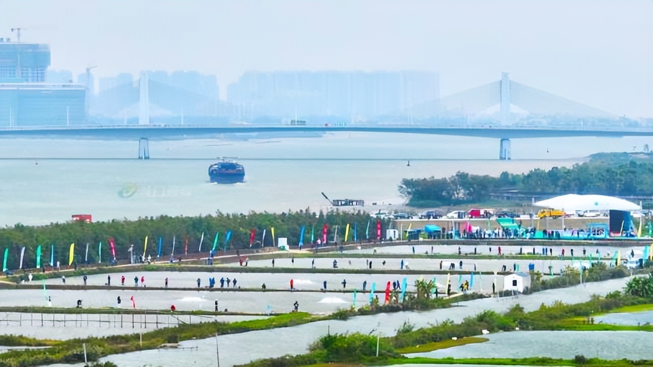 拼经济！珠海斗门这样拼：卖好一条鱼，带火一座城