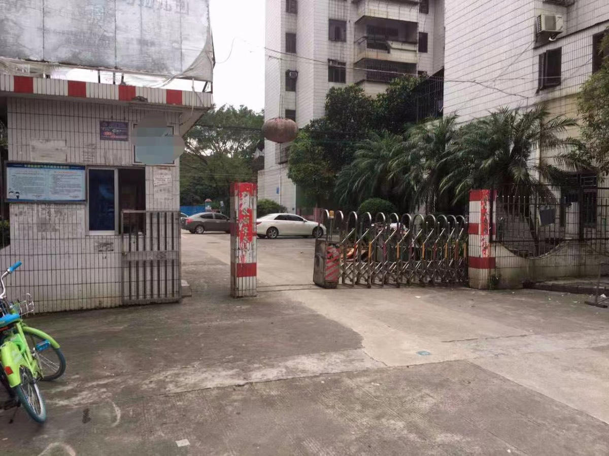 我在农村做什么才能赚钱,在老家卖干果挣钱吗