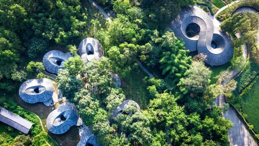 8月出游去哪儿？20条精品旅游线路带你畅享假日活力