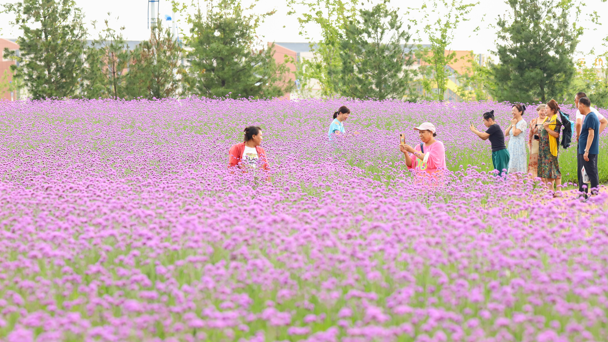 小城梅河口市,家乡的小城梅河口