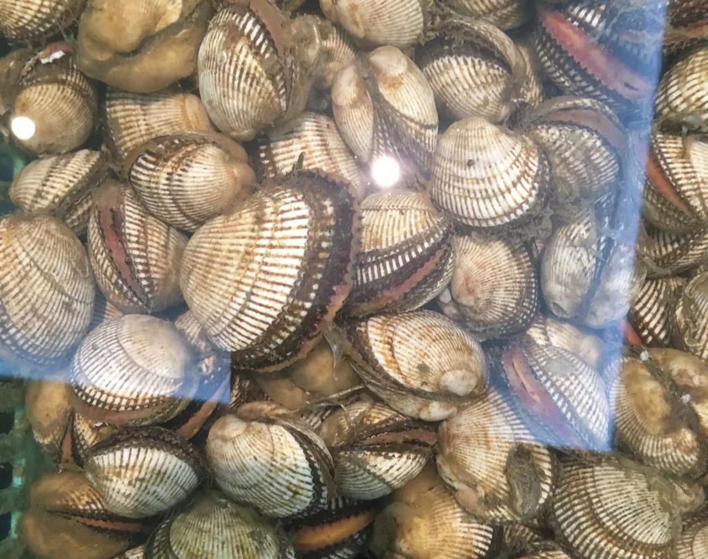 15种海鲜的经典吃法及价格,常见的海鲜正确吃法大全