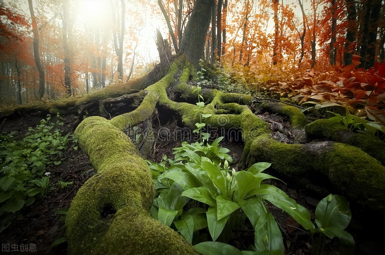 原创诗词集100首,原创诗词大全100首