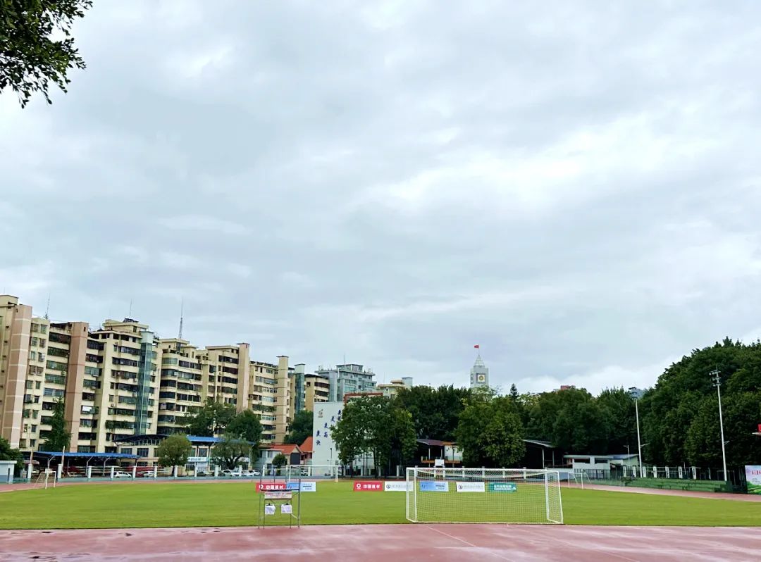 世界杯开始精彩,世界杯开始了没