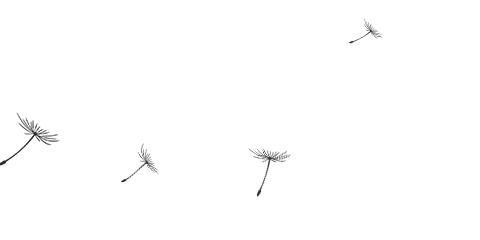 最新交通事故具体赔偿项目及标准,交通事故责任赔偿标准明细