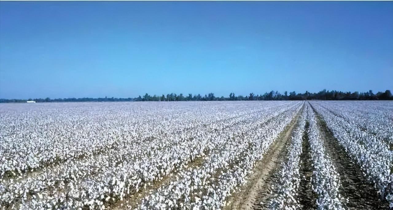 19涓栫邯鍒濊タ娆х殑宸ヤ笟鍙戝睍鎴愬氨,19涓栫邯娆ф床宸ヤ笟鍙戝睍濡備綍