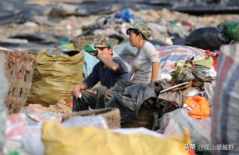 上海有什么不用学历又赚钱的职业,上海什么工作不要学历赚钱多
