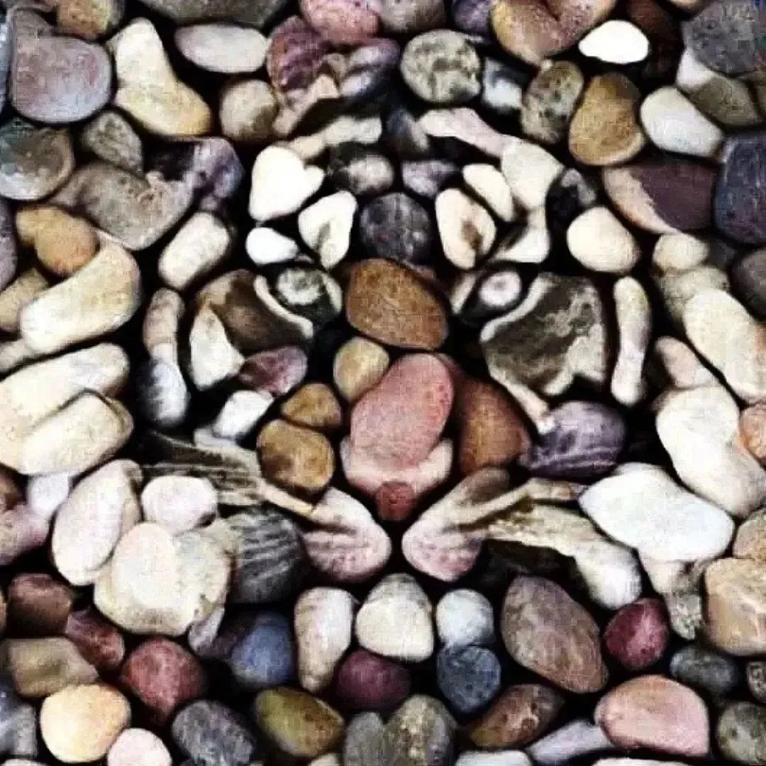 大腕儿点评团来了，盘一盘WW表展新品的“买点”