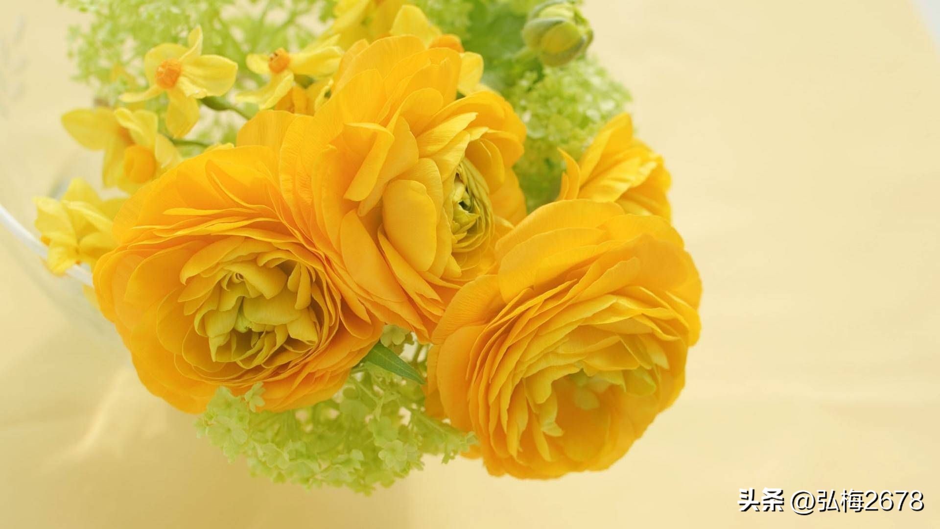 电商店铺运营思路规划,电商运营规划思维导图