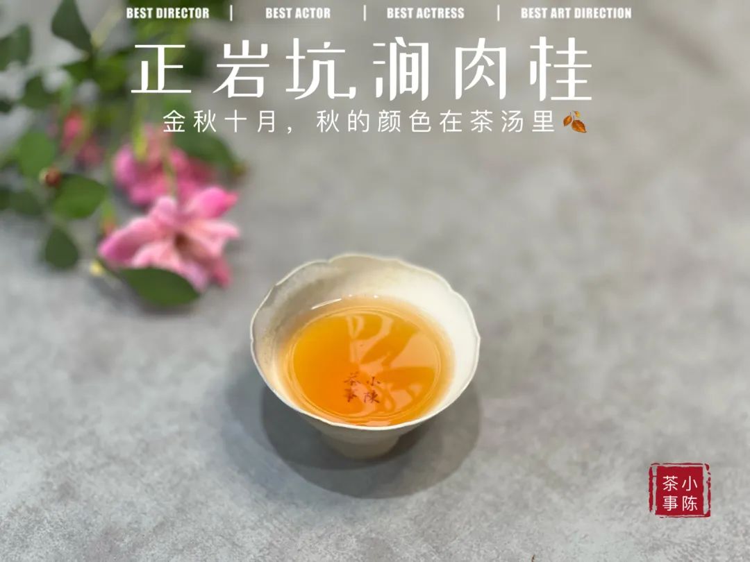 普洱茶假茶的种类及特点解析,红茶绿茶白茶普洱茶哪个口感好