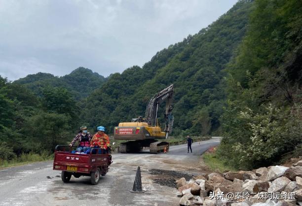 为什么超市的蜂蜜不能买,现在超市里蜂蜜那么便宜是真的吗