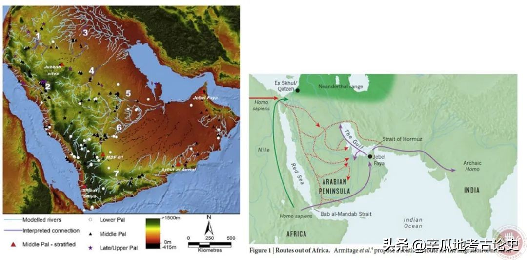 李锋的所有视频,李锋百科简介