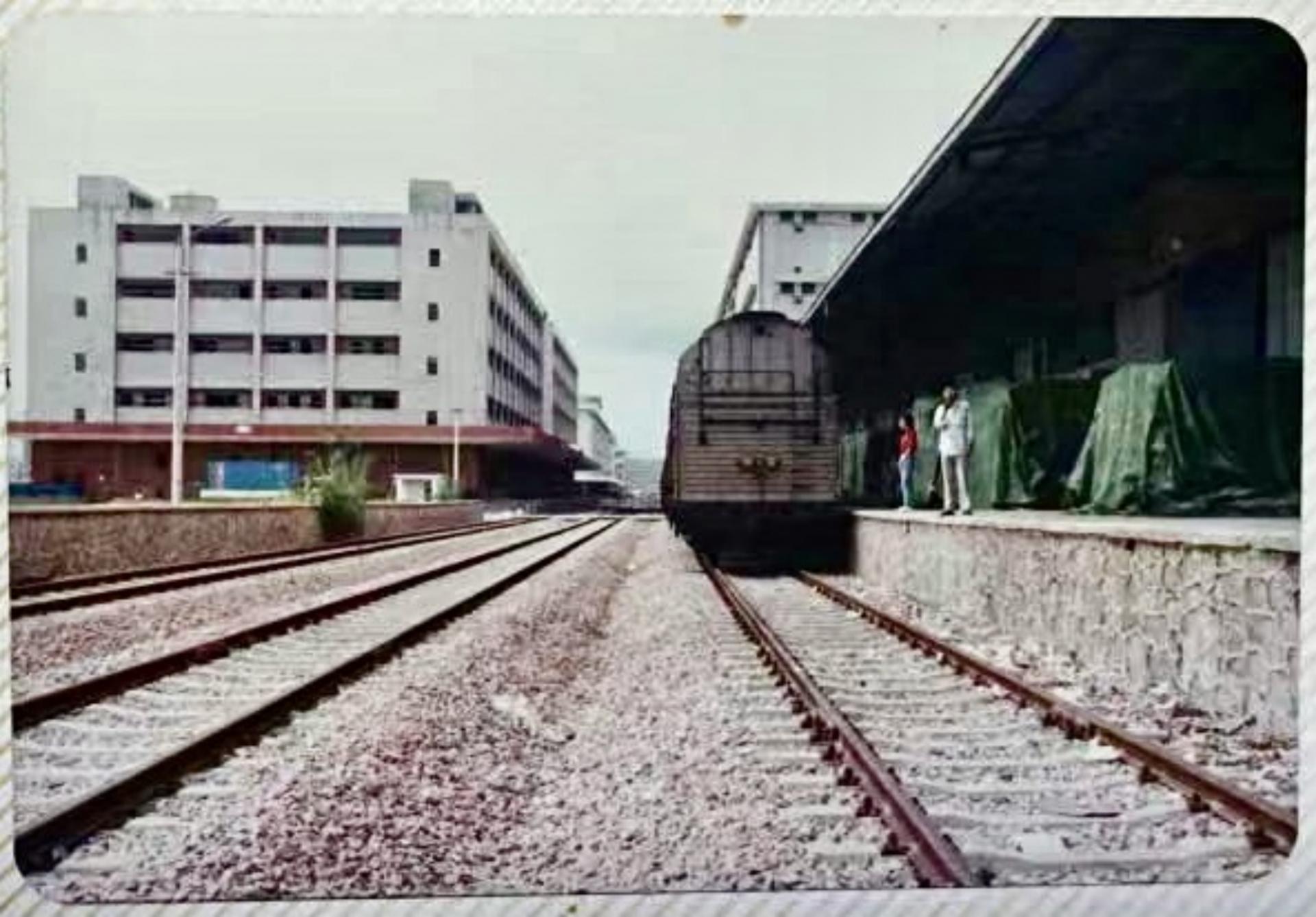 李八一是哪个电视剧,李八一举办锦标赛视频