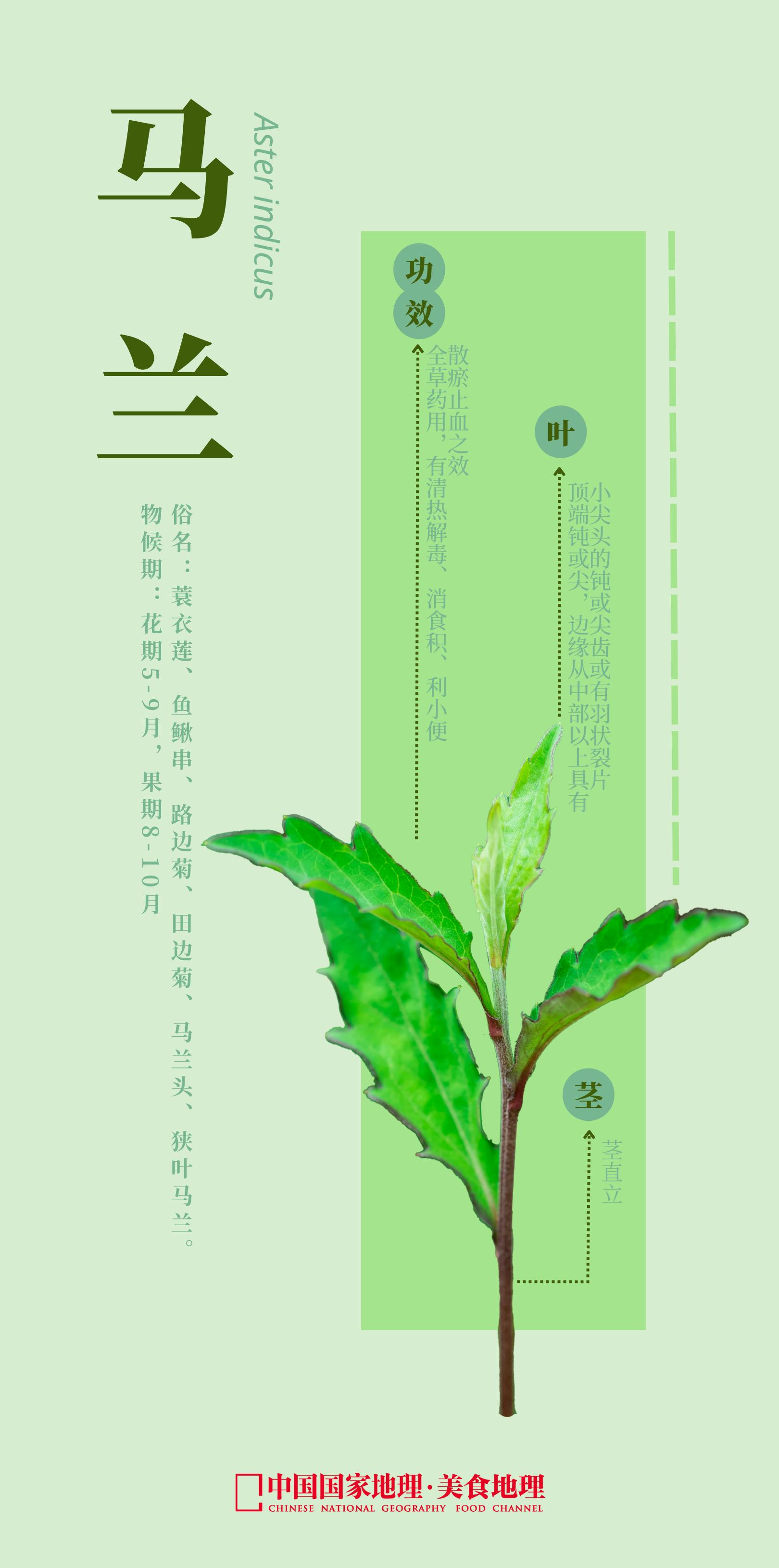 富春江河鲜,富春江诗词