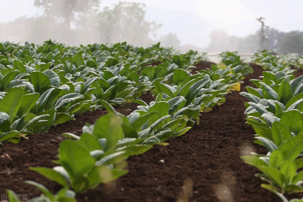 省钱日记范文,省钱日记视频大全