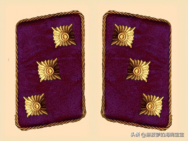 纳粹冲锋队用的什么枪,纳粹德军军衔图解