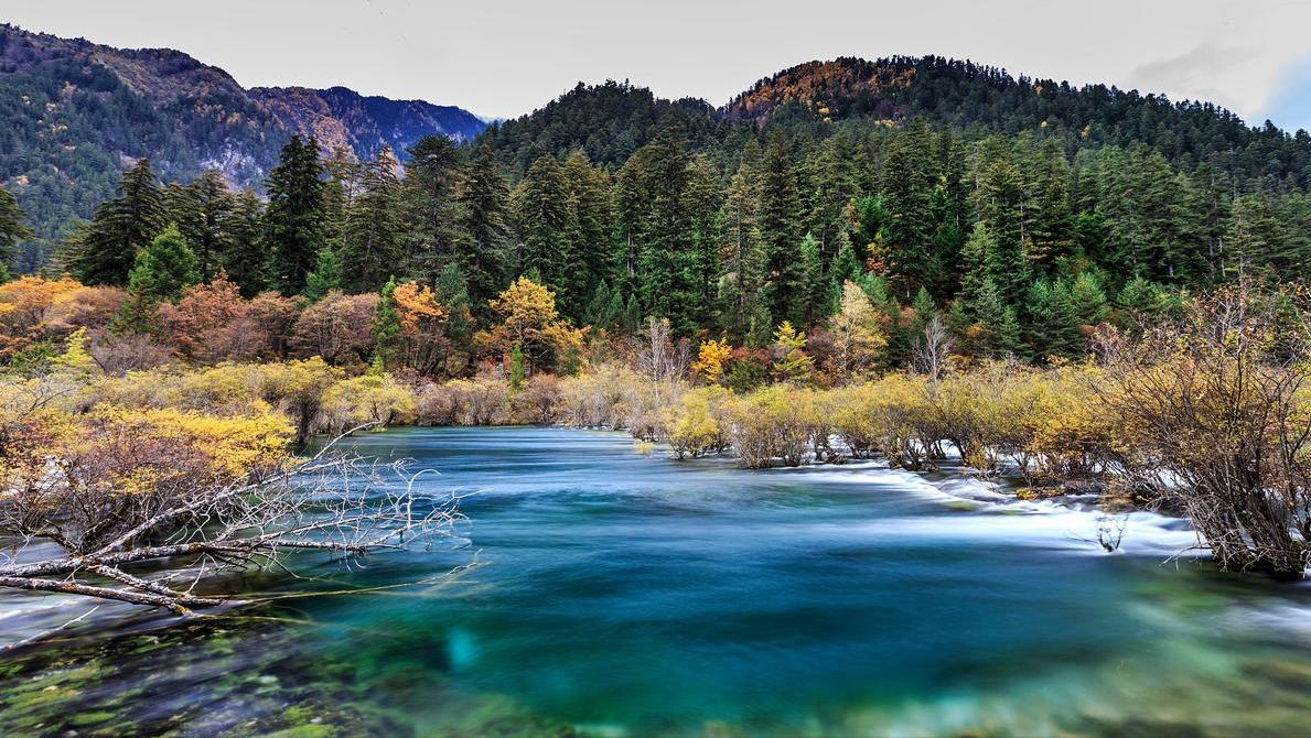 九寨沟自由行六日游攻略图文,九寨沟五日游自由行攻略