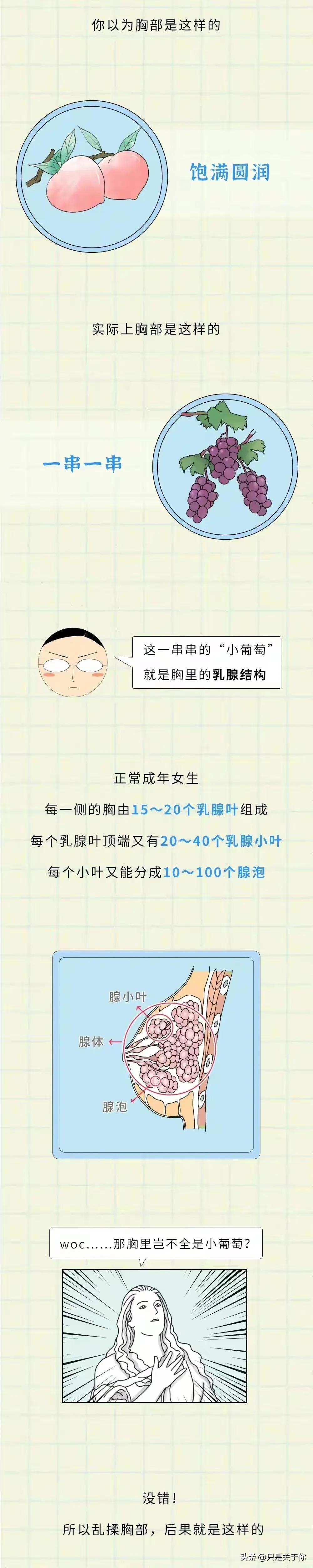 漫画：为什么男人不能对女人的胸部下狠手？