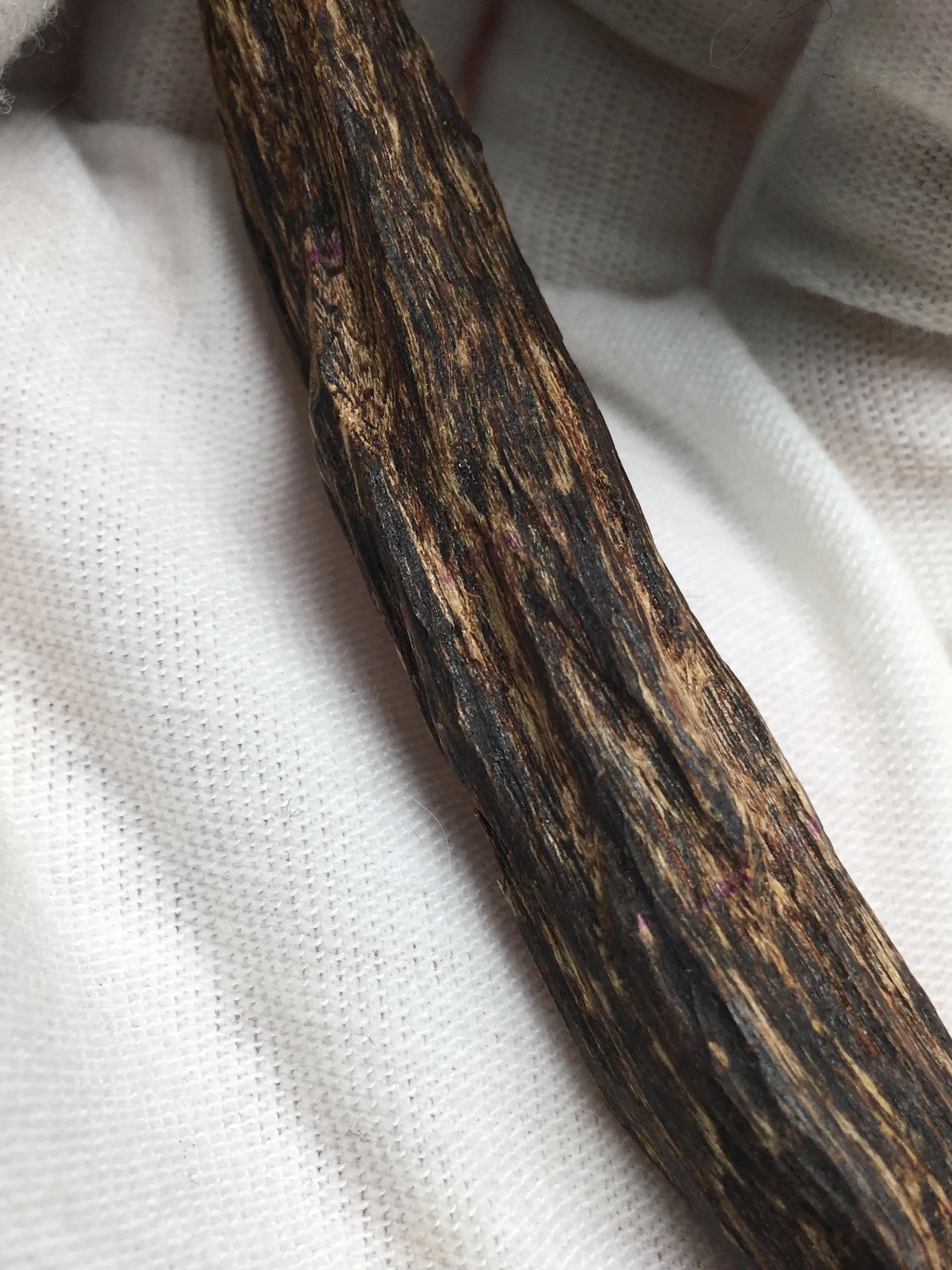 香港沉香属于星洲不,香港与沉香的关系